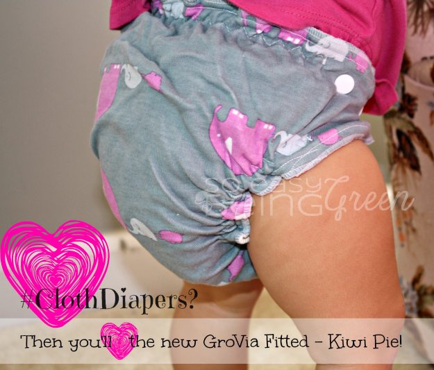 GroVia Fitted Cloth Diaper