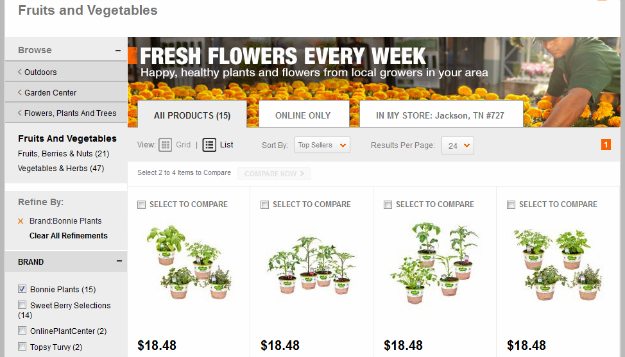 buying organic plants