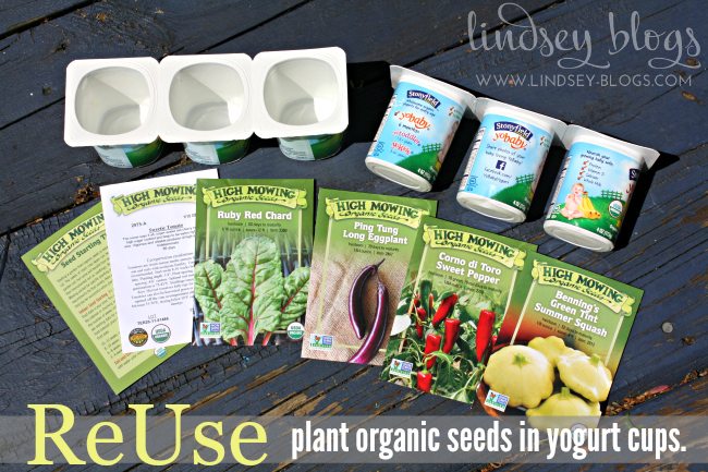 Plant seeds in yogurt cups