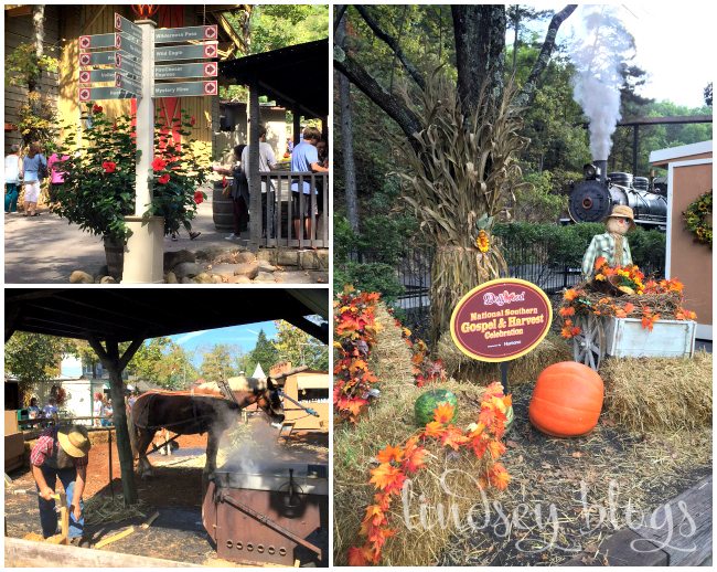 Dollywood Collage