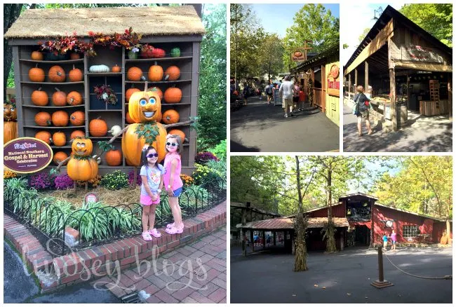 Dollywood Harvest Collage