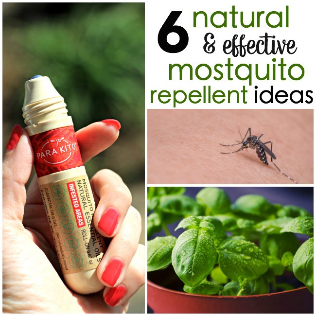 Natural Mosquito Repellent Ideas