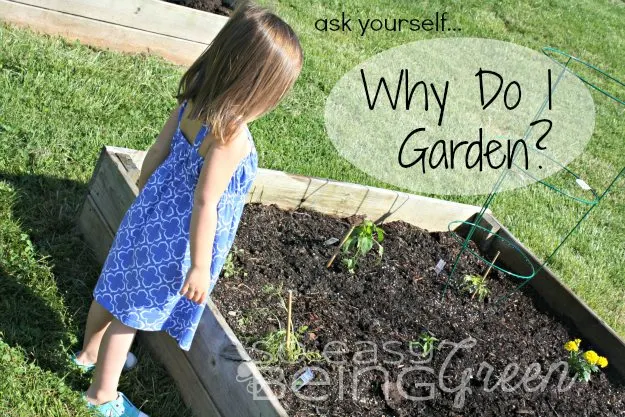 girl looking at container garden