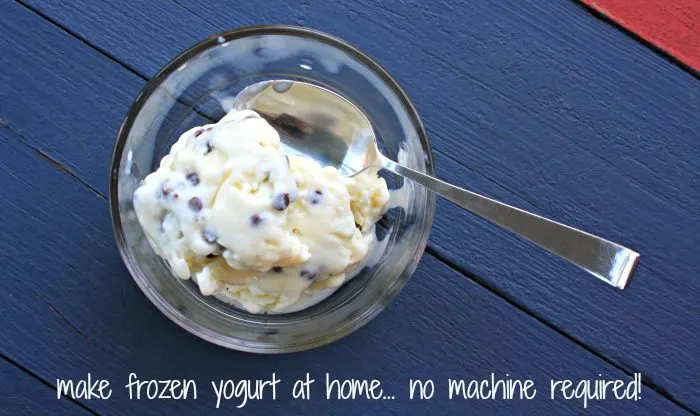 Frozen Yogurt at Home