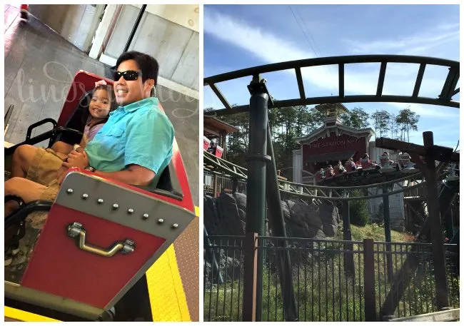 Dollywood FireChaser Express Collage