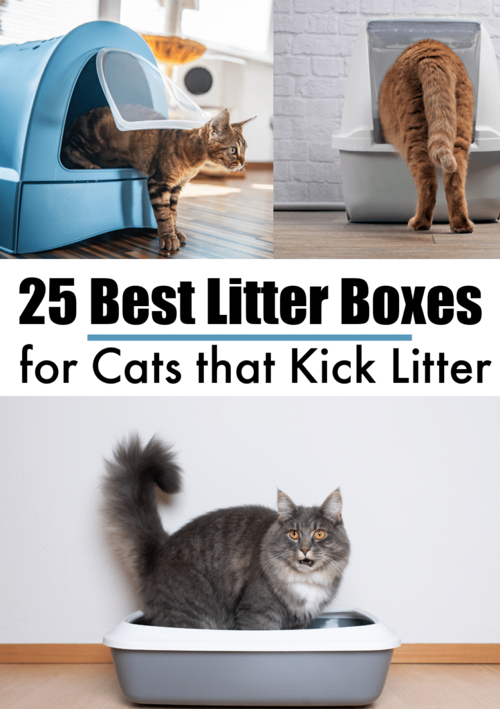 collage of cat pictures with text best litter boxes for cats that kick litter