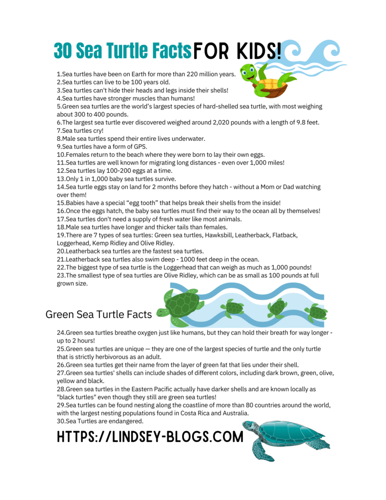 30 Fun Sea Turtle Facts for Kids + A Sea Turtle Craft that Floats!